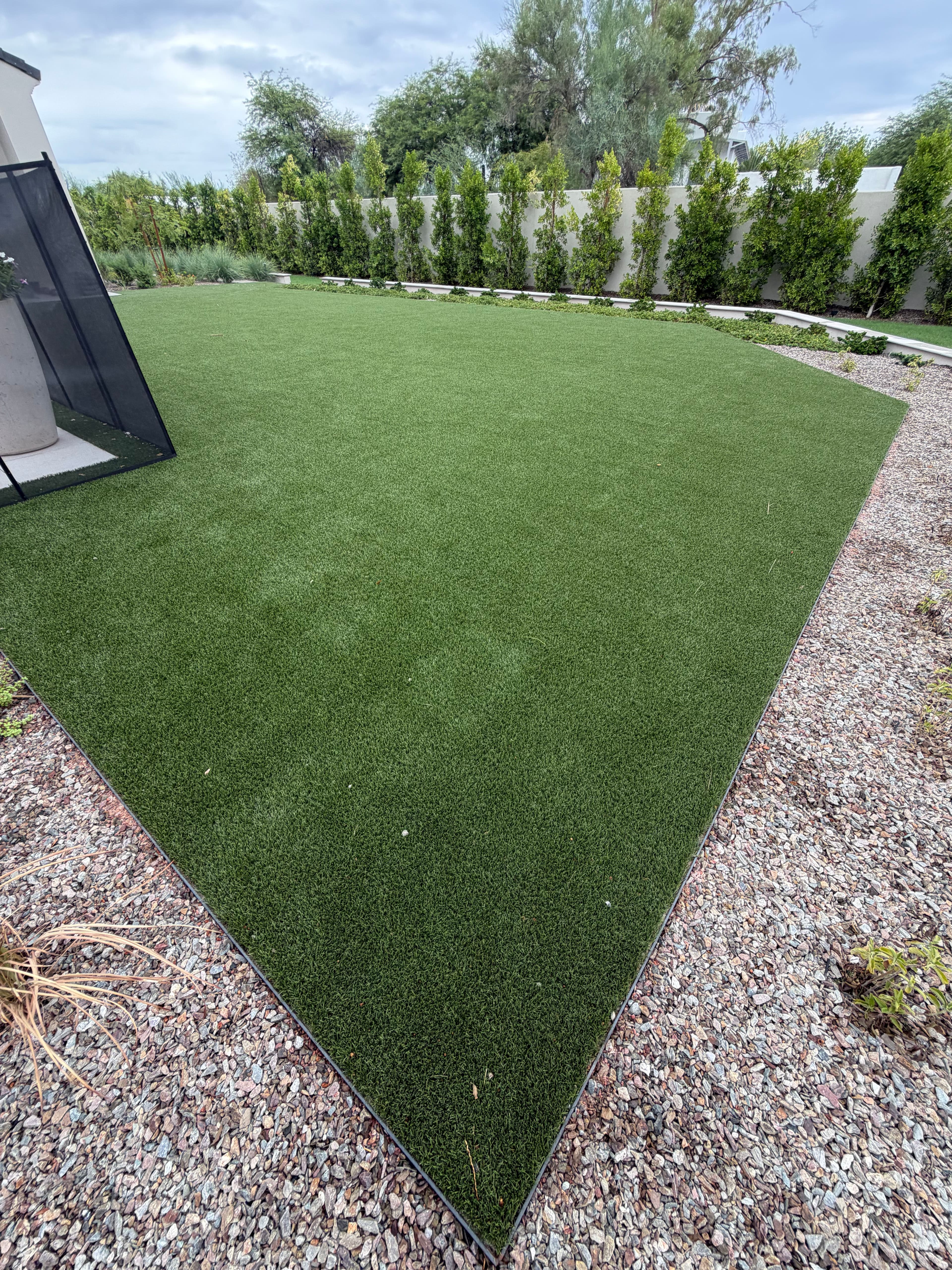 Project Before and After Artificial Turf Cleaning in Paradise Valley image