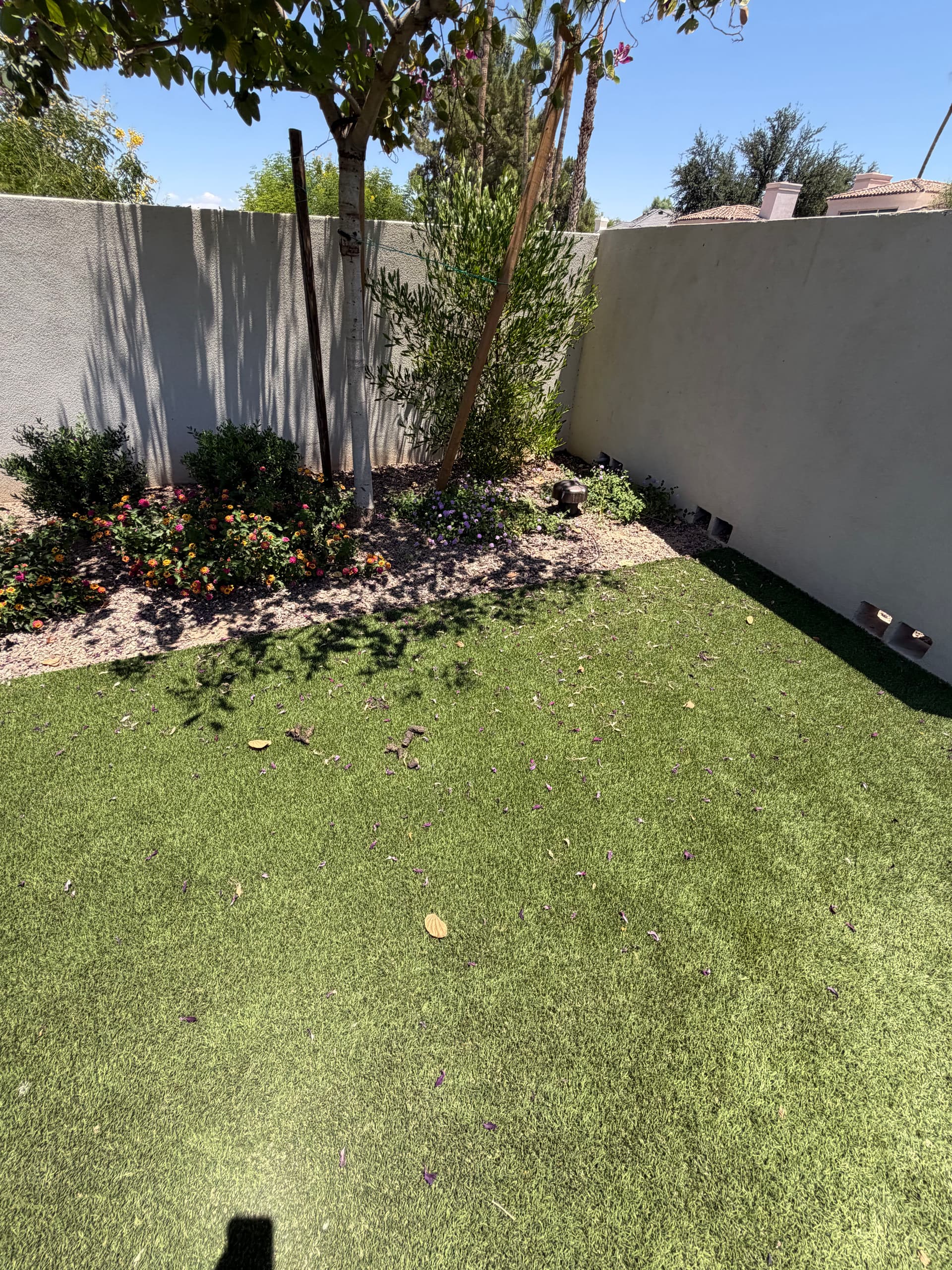 Gallery photos for Small Turf Issues Add Up Fast - Here's Why Maintenance Matters: Image #1