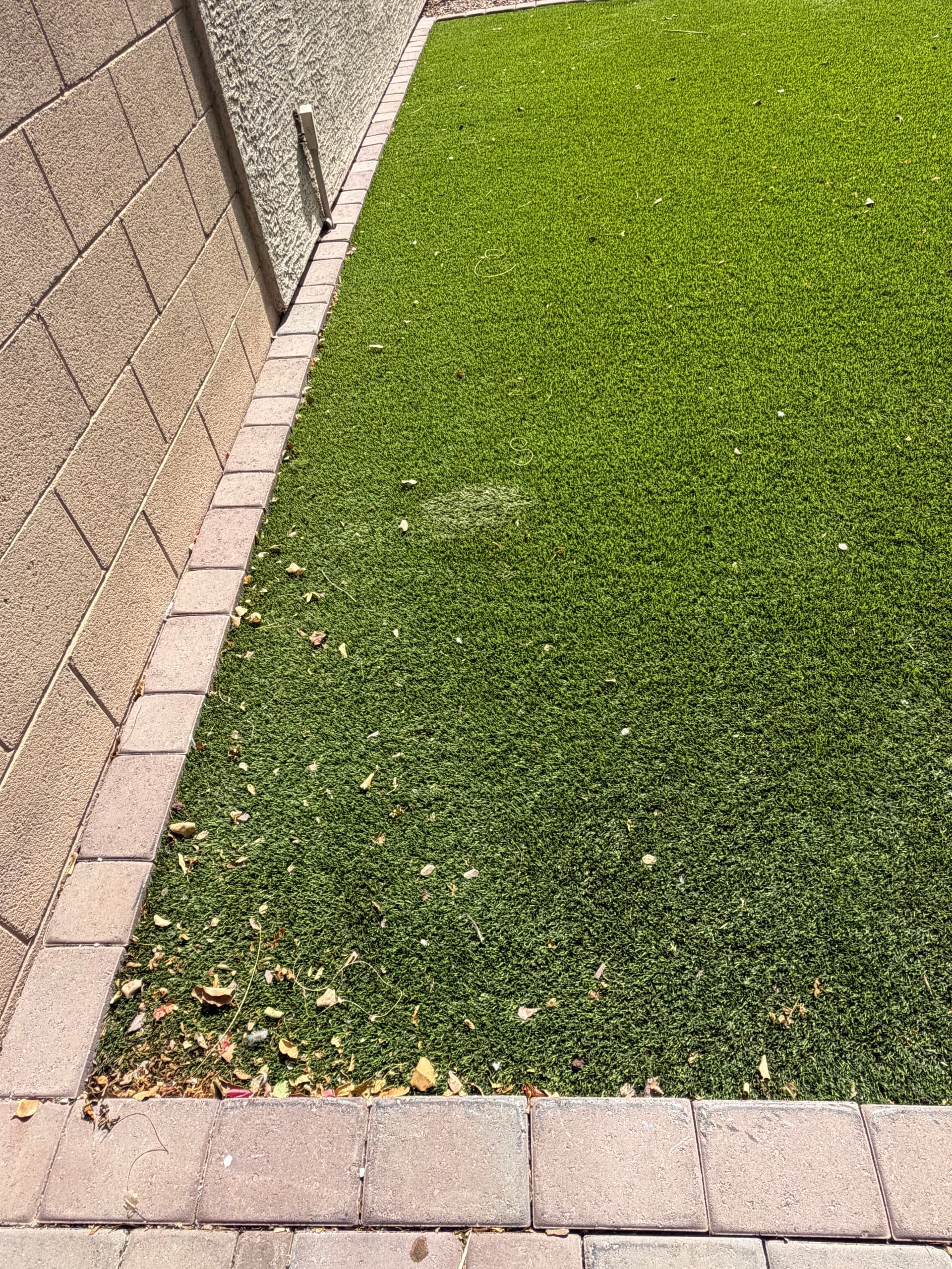 Gallery photos for Dust Storms Are Wrecking Your Artificial Turf in Surprise: Image #1