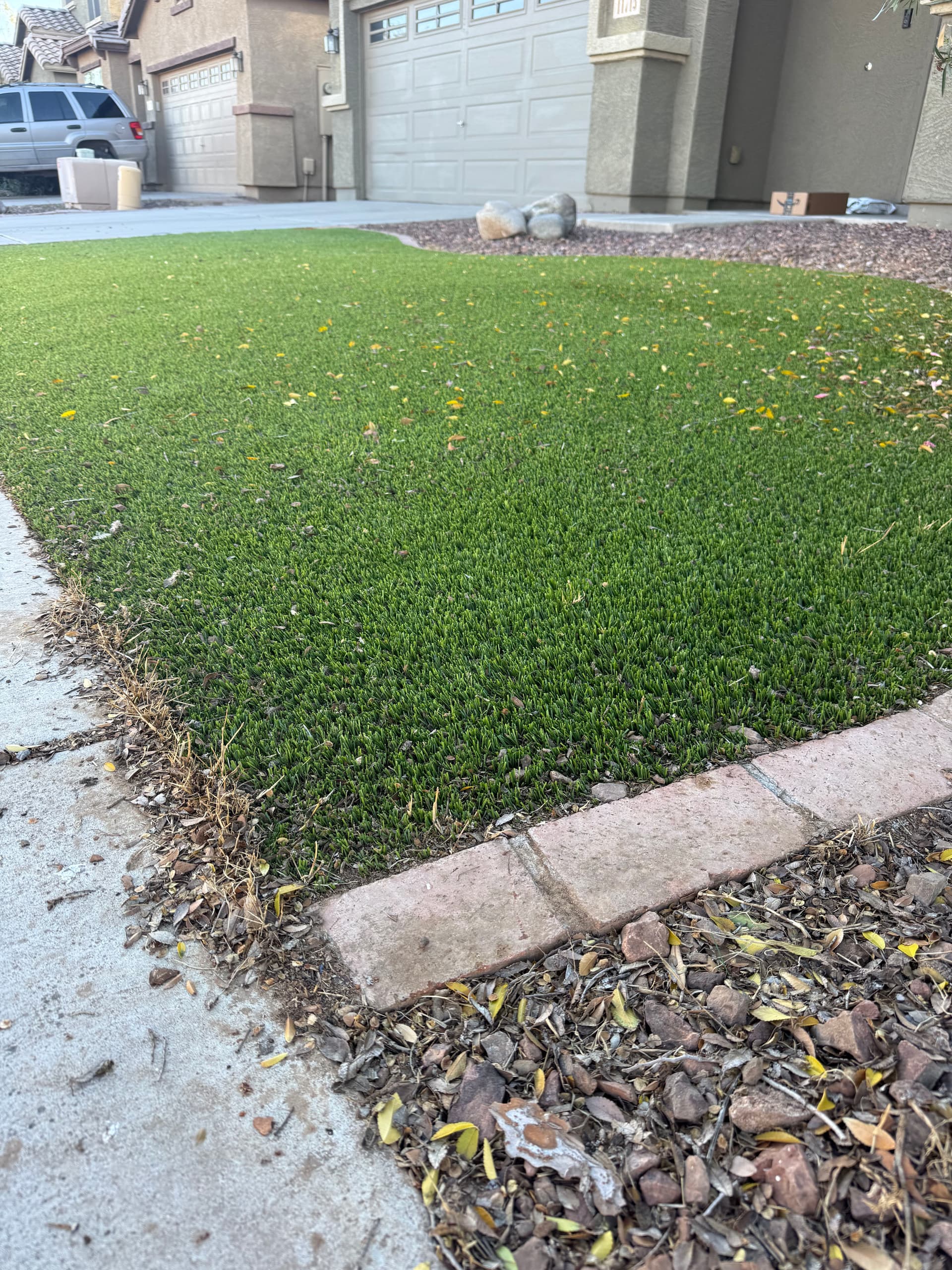 Gallery photos for What's Really Hiding in Your Artificial Turf in Peoria: Image #1