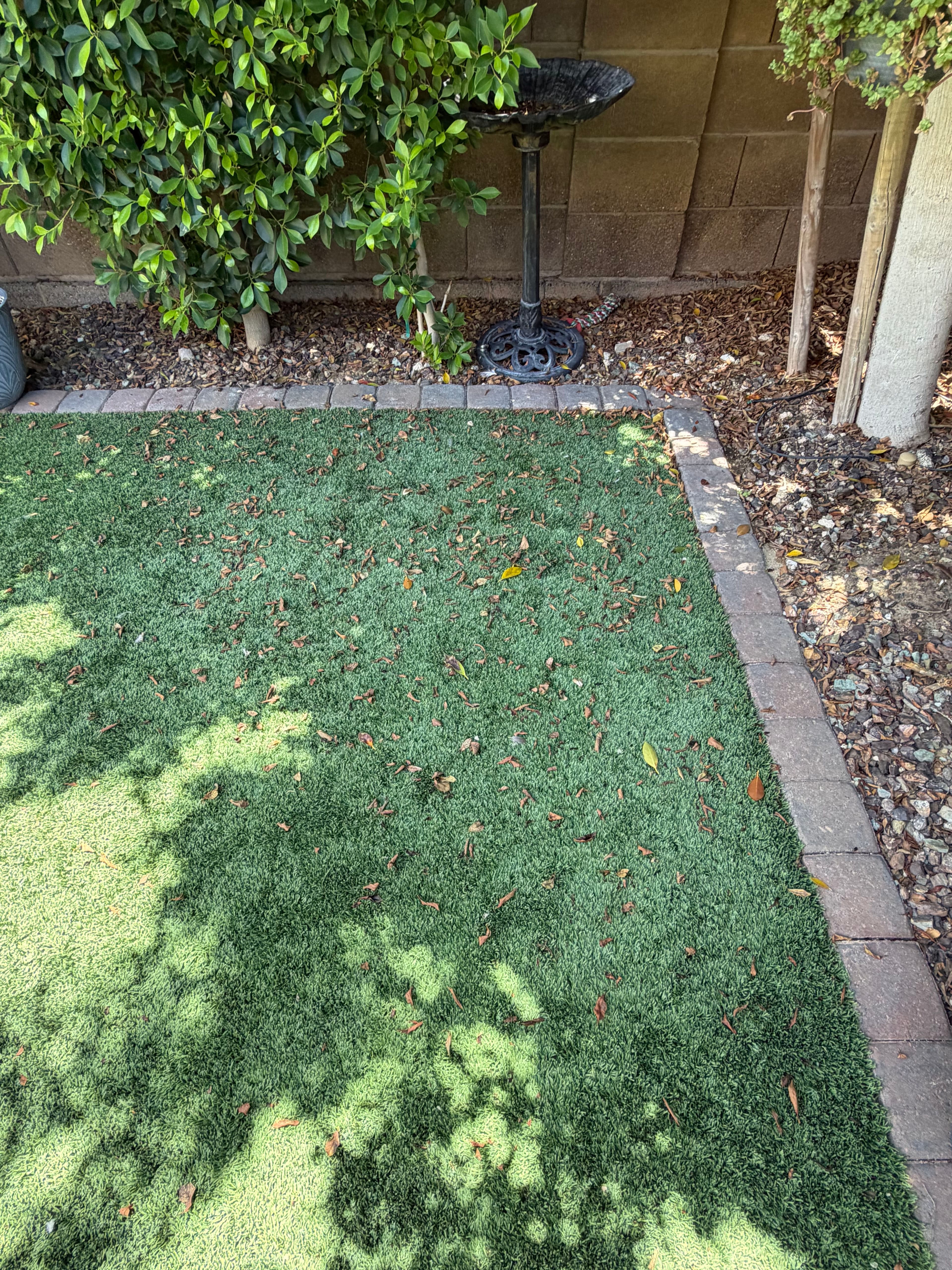 Project Small Turf Issues Add Up Fast - Here's Why Maintenance Matters image