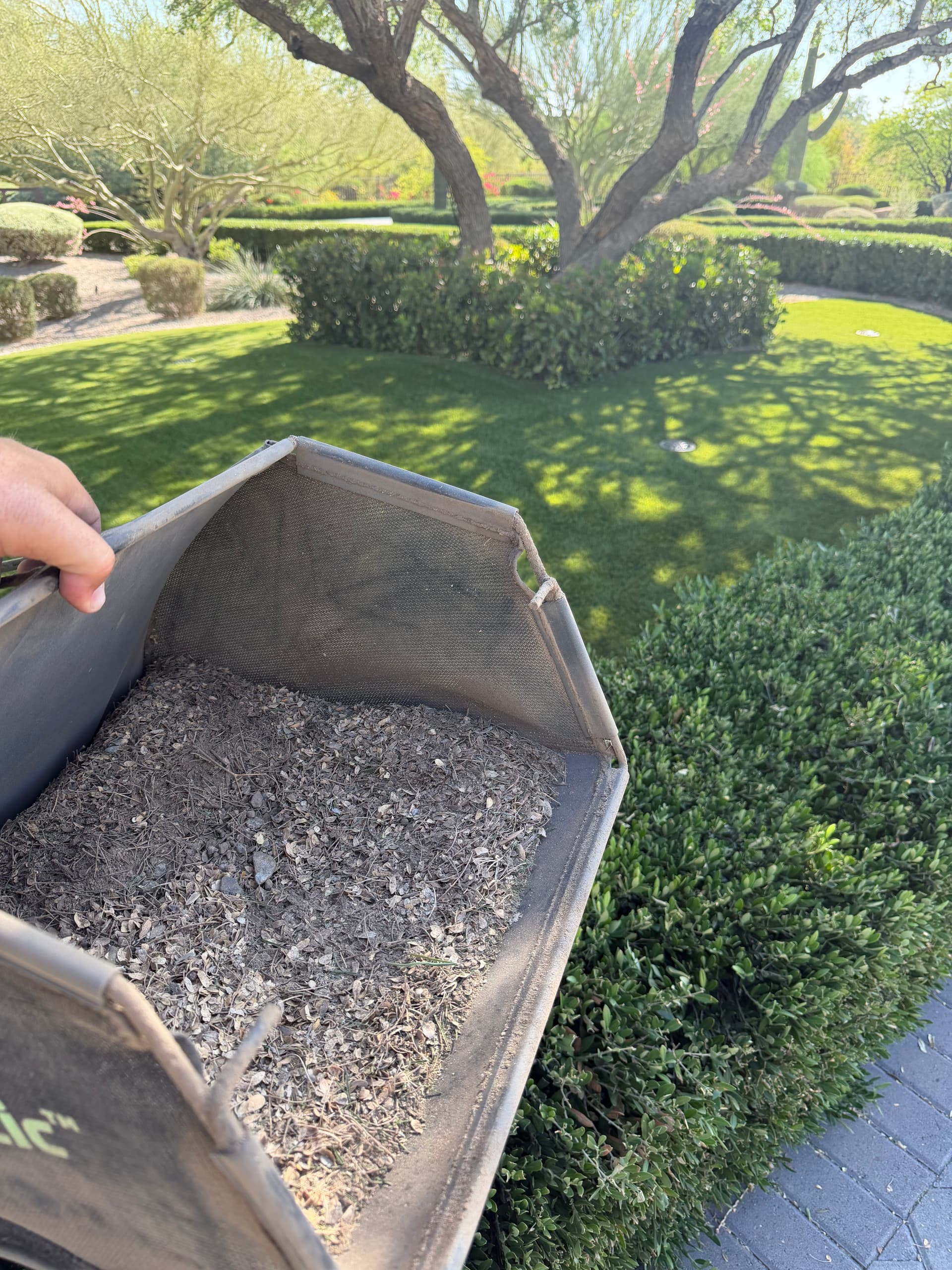 What's Really Hiding Inside Your Artificial Turf