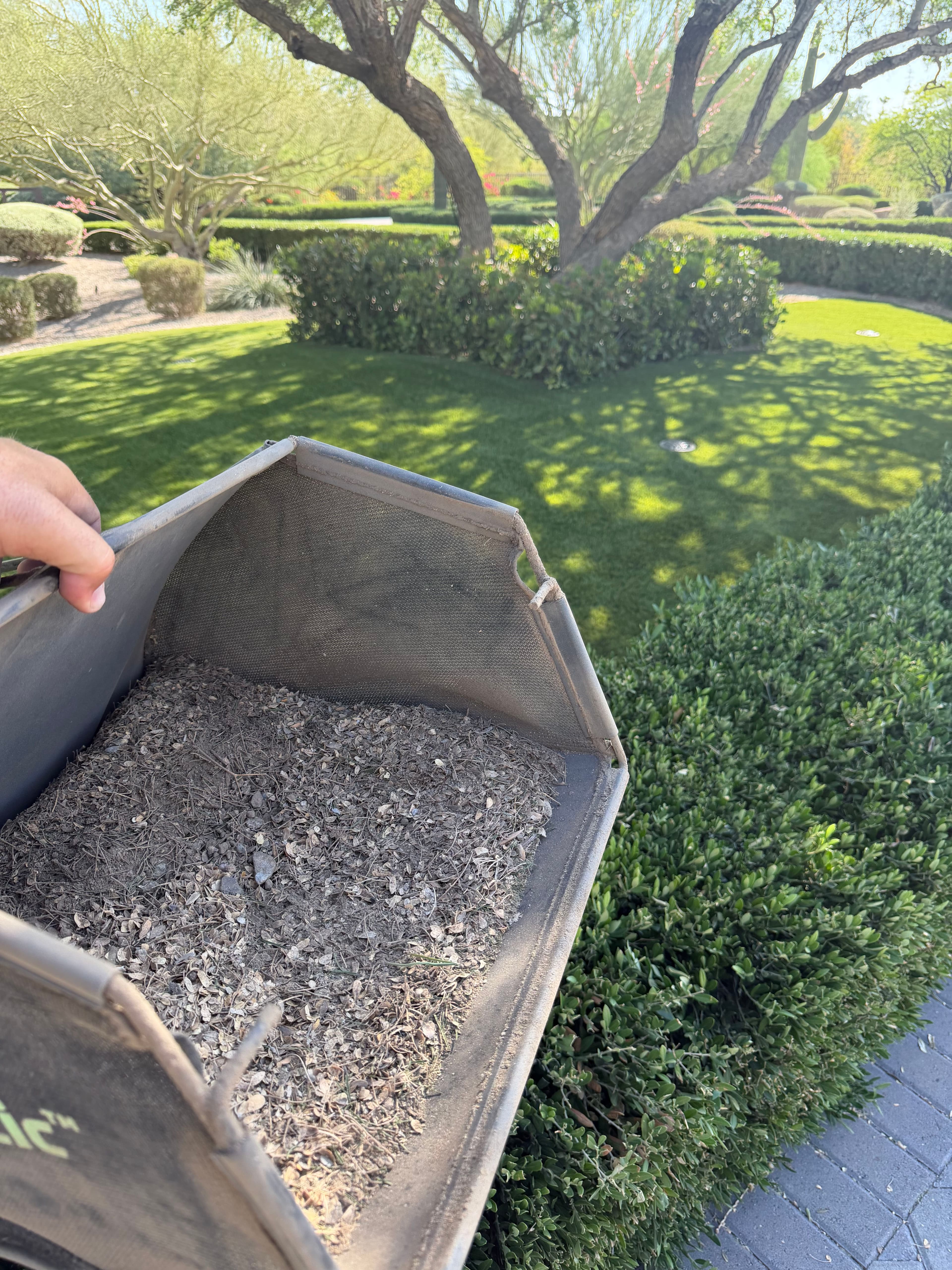 Project What's Really Hiding Inside Your Artificial Turf image