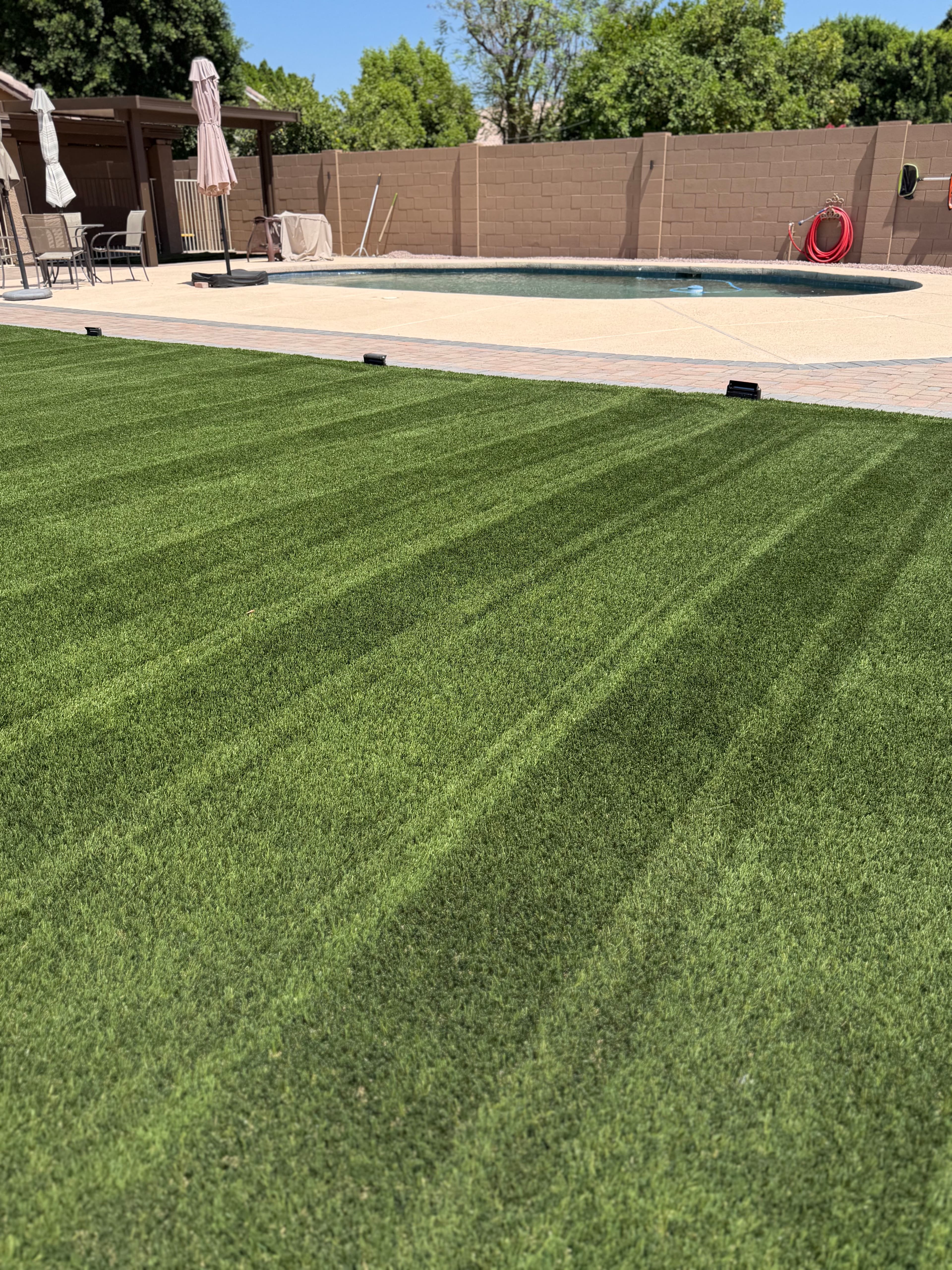 Project Your Artificial Turf Should Still Look This Good image