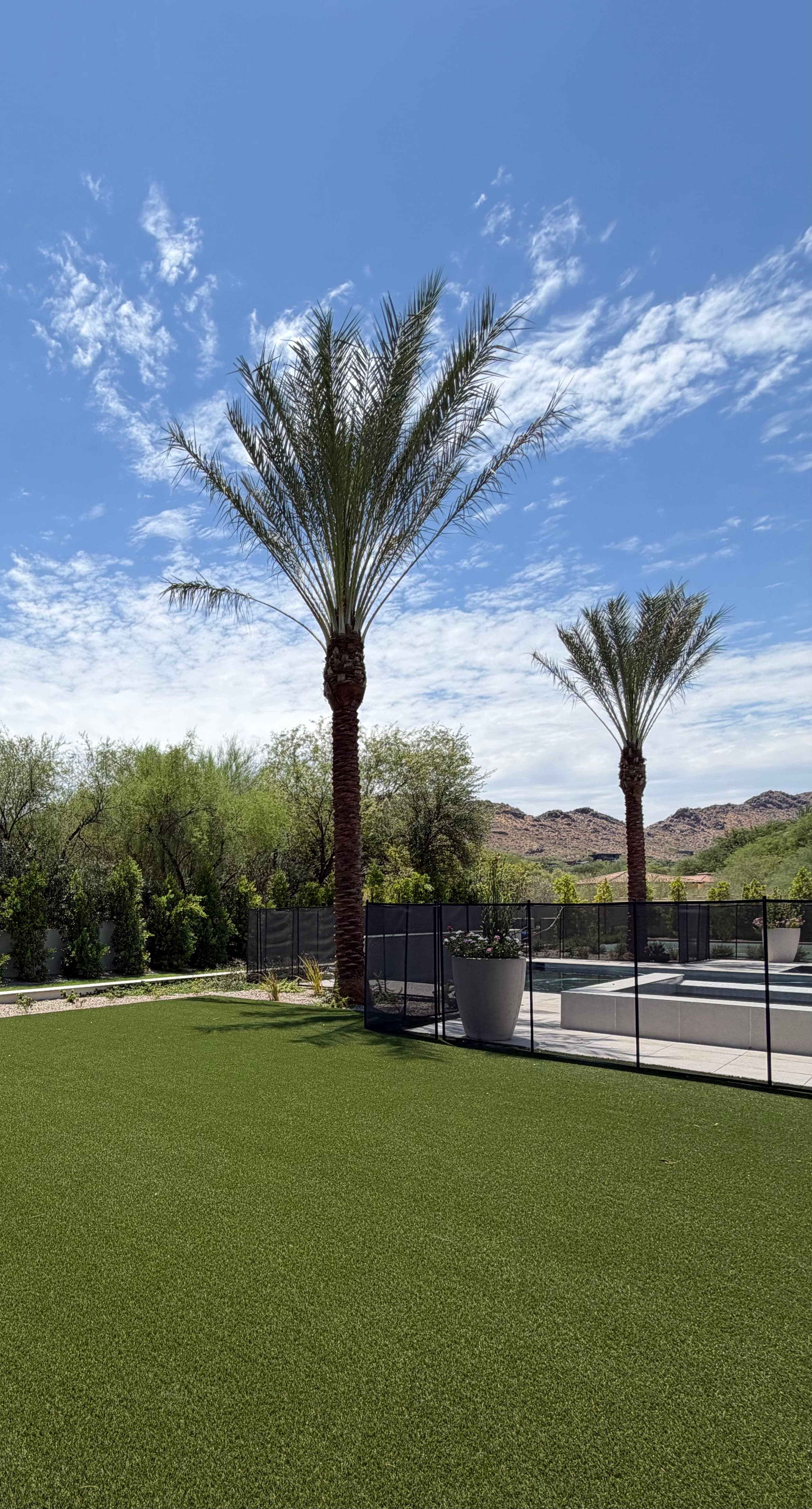 Project Keeping Paradise Valley Artificial Turf Fresh All Summer Long image