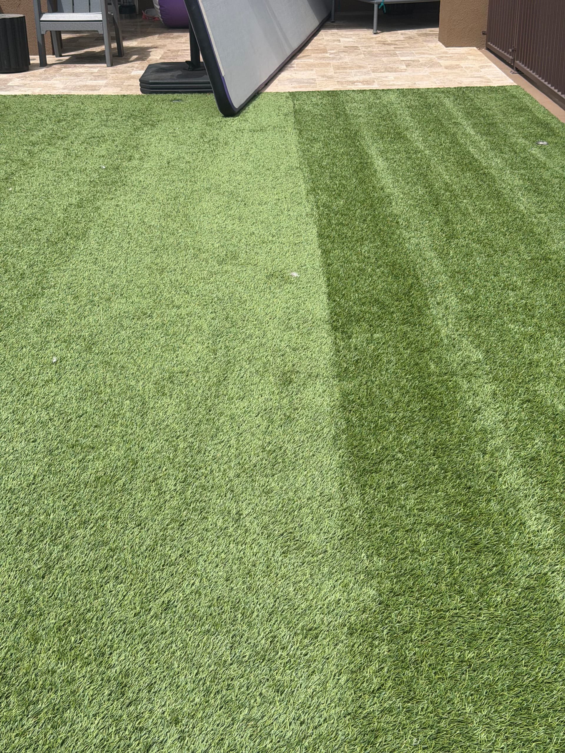 Quarterly Turf Maintenance Keeps This Backyard Looking Sharp
