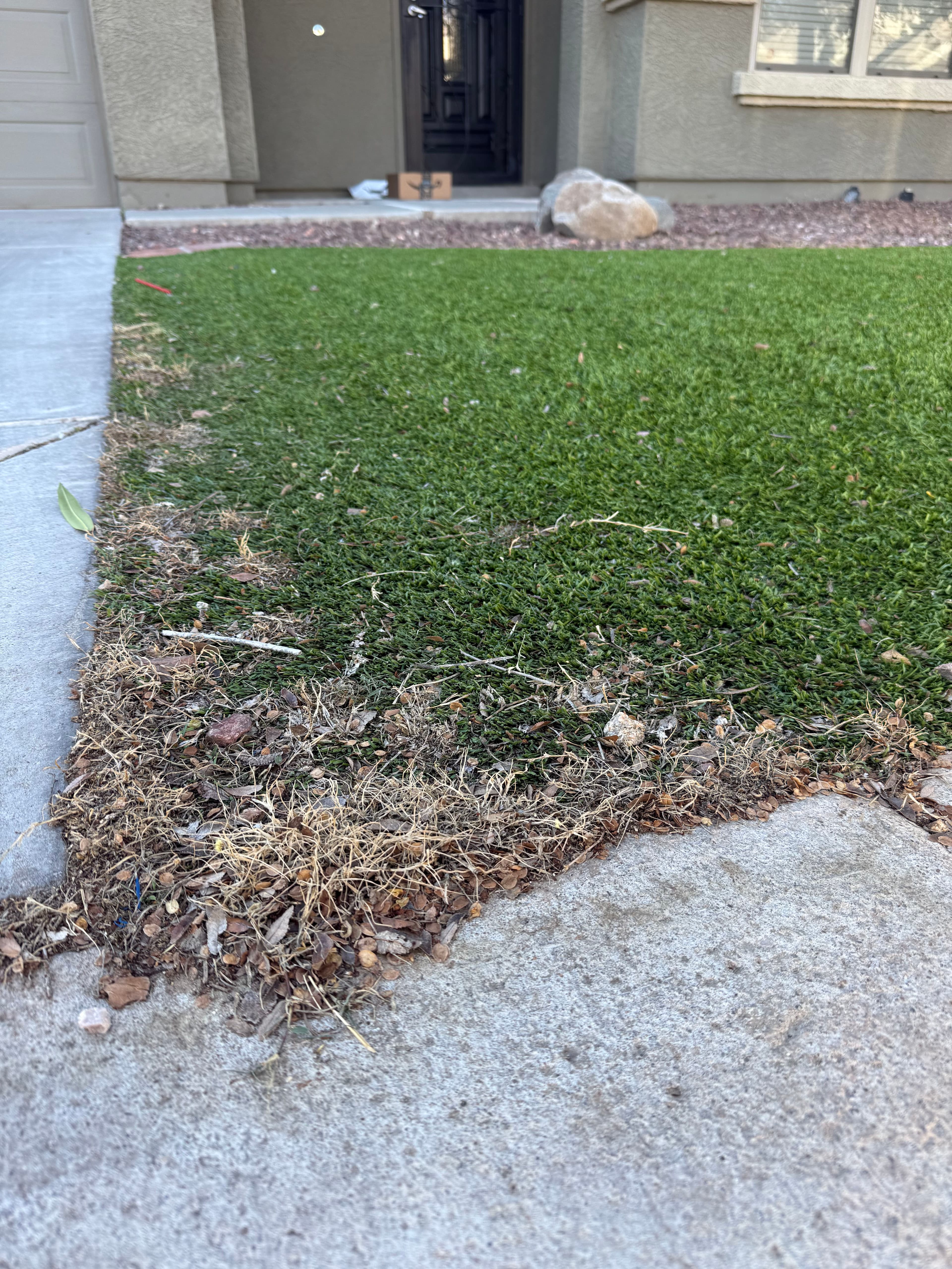 Project What's Really Hiding in Your Artificial Turf in Peoria image