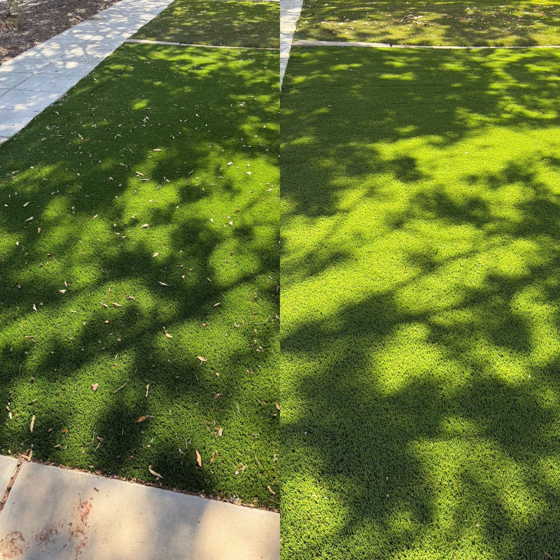 Marley Park Front Yard Turf Cleaning That Actually Shows Results