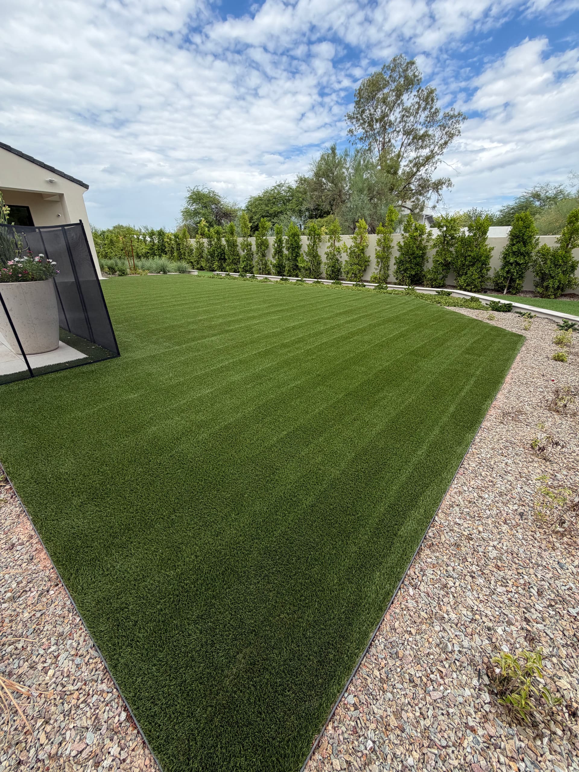 Gallery photos for Before and After Artificial Turf Cleaning in Paradise Valley: Image #1