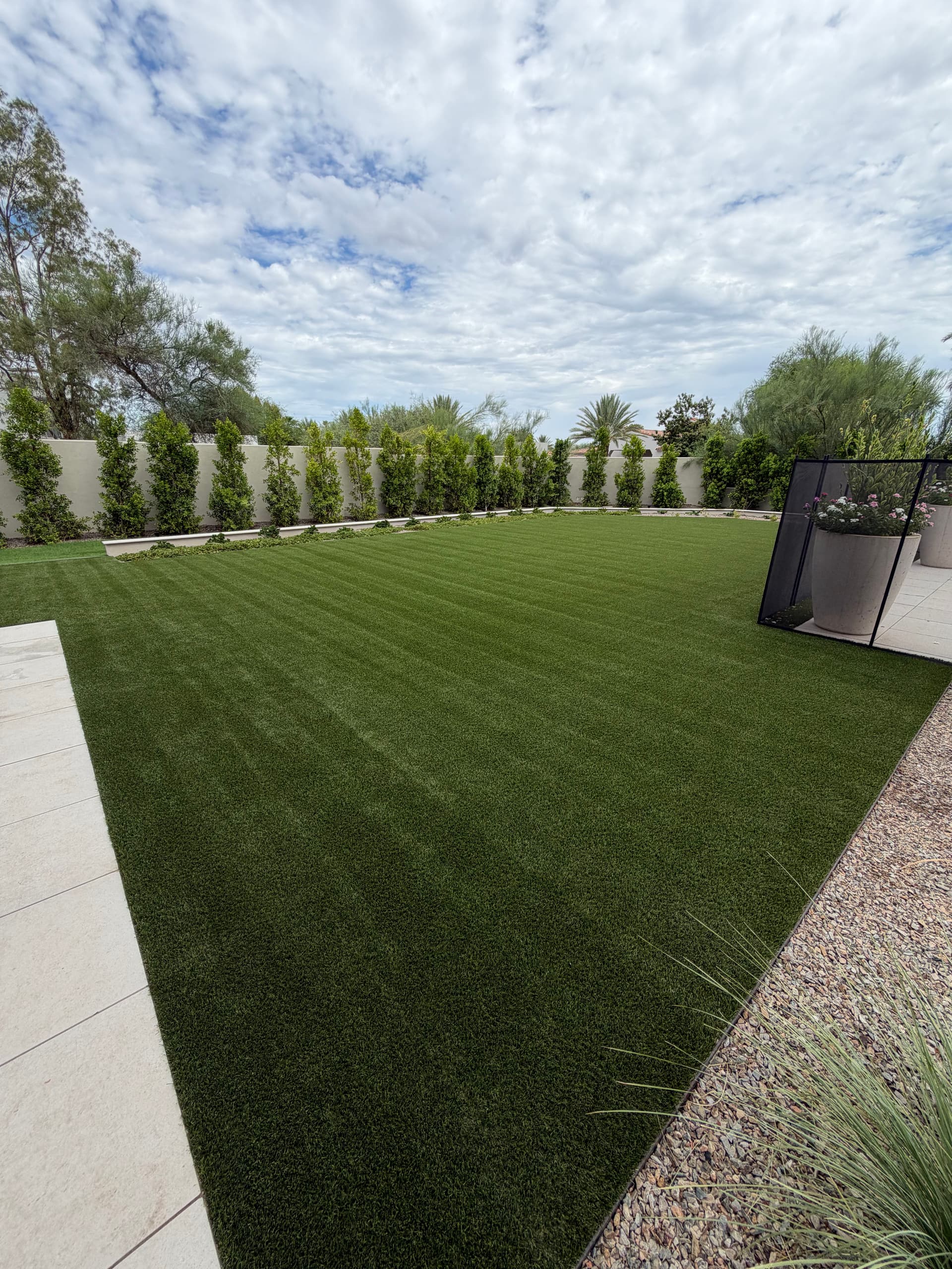 Gallery photos for Before and After Artificial Turf Cleaning in Paradise Valley: Image #5