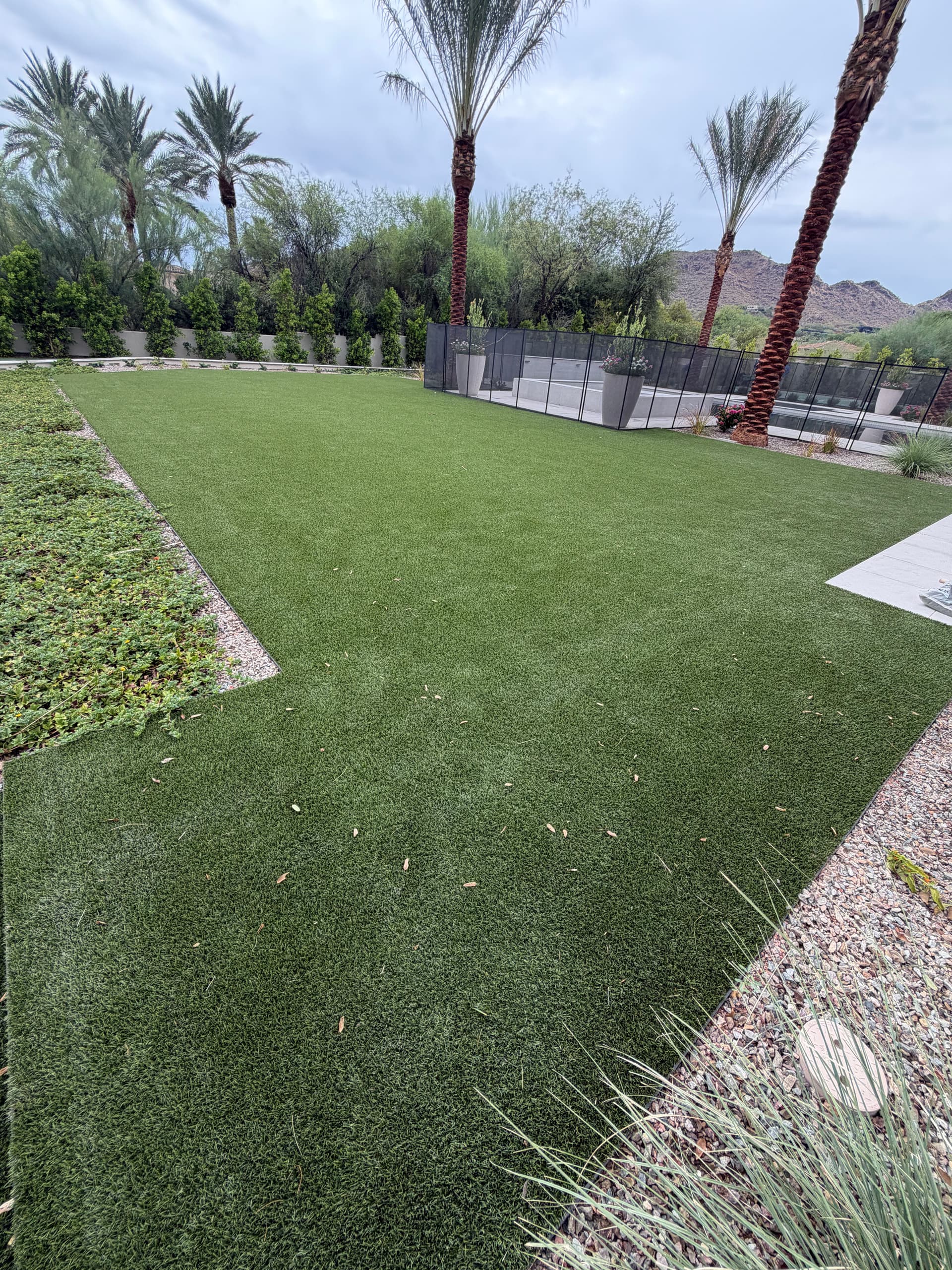 Gallery photos for Before and After Artificial Turf Cleaning in Paradise Valley: Image #2