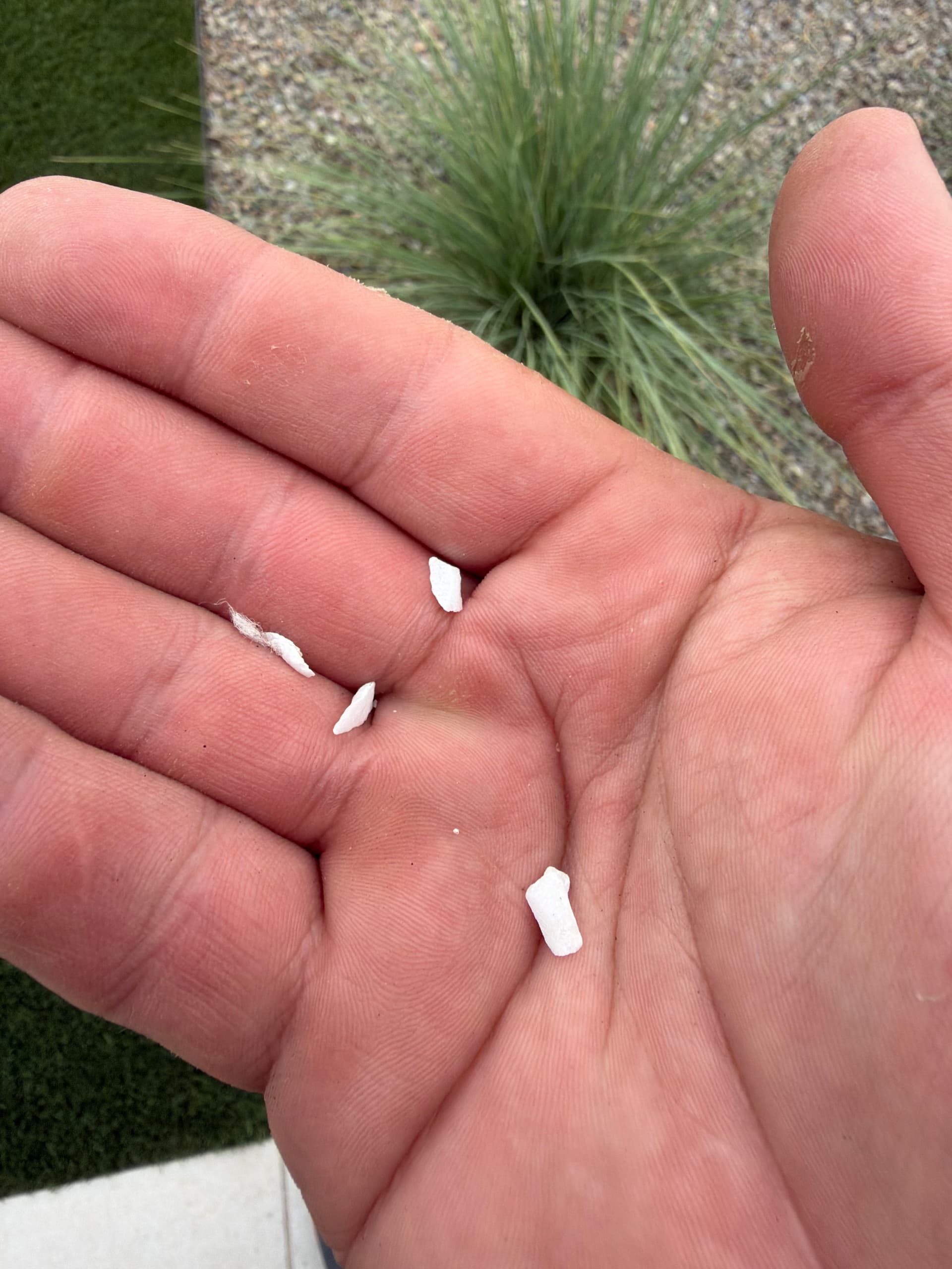 Gallery photos for Post-Construction Debris Hiding in Your Turf is a Real Safety Risk: Image #1