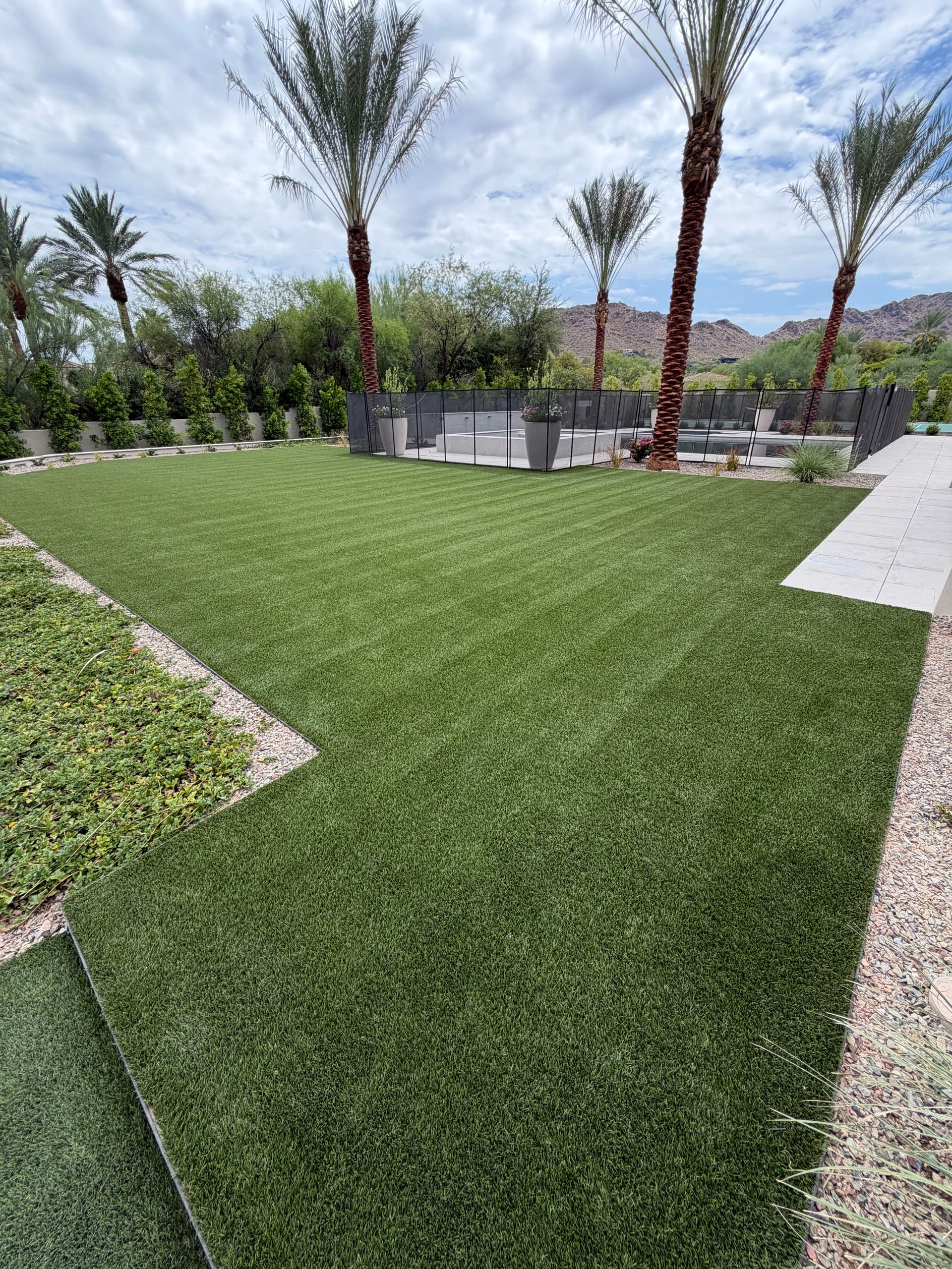 Gallery photos for Before and After Artificial Turf Cleaning in Paradise Valley: Image #3