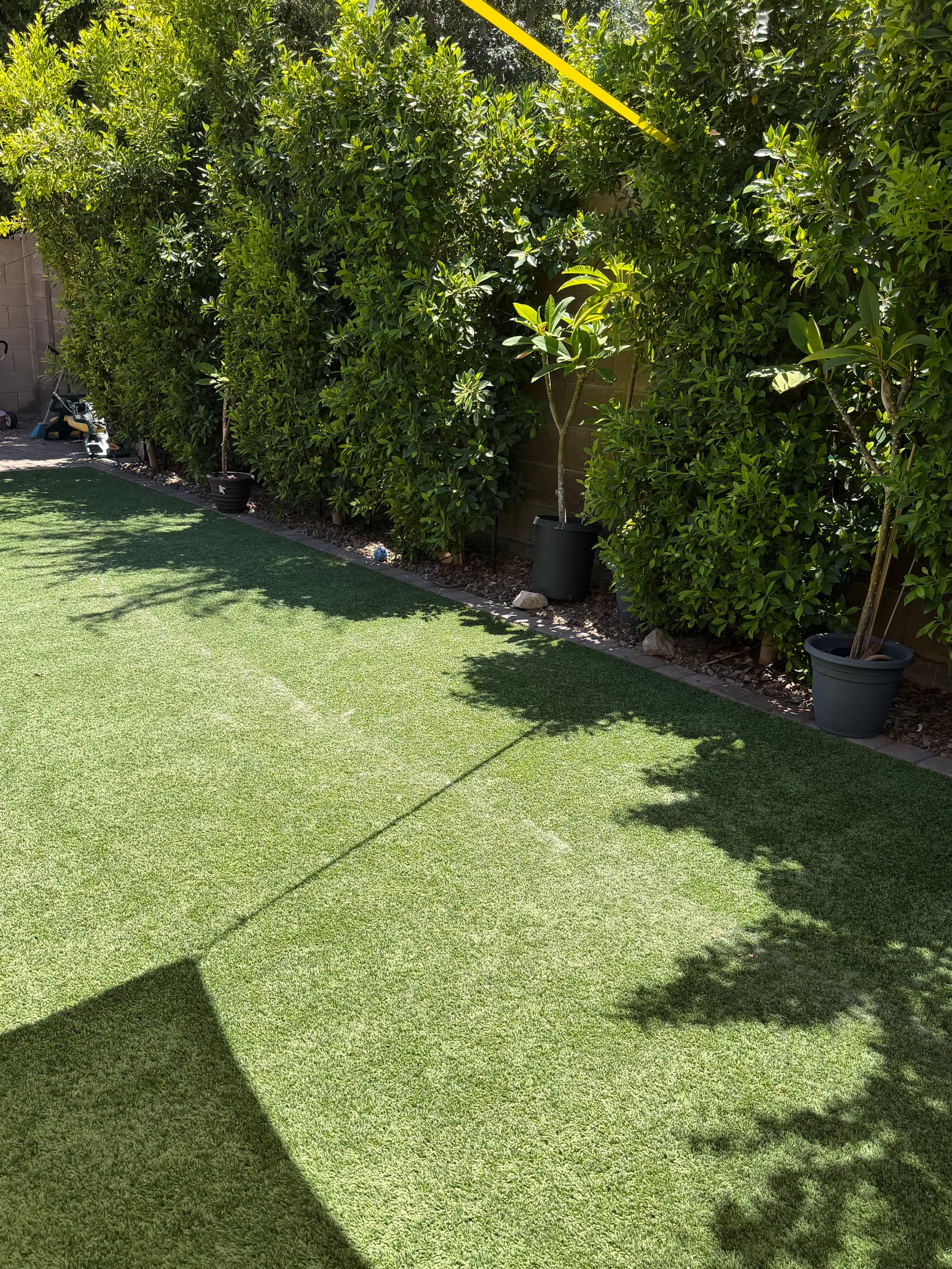 Gallery photos for Advanced Turf Clean in WestWing Gets a Family Backyard Back in Shape: Image #1